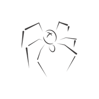 Glass-Spider